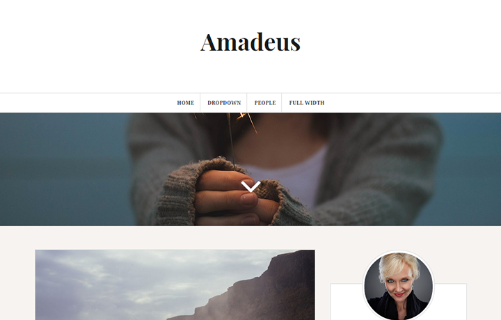 Free WordPress Themes 2016 - Amadeus