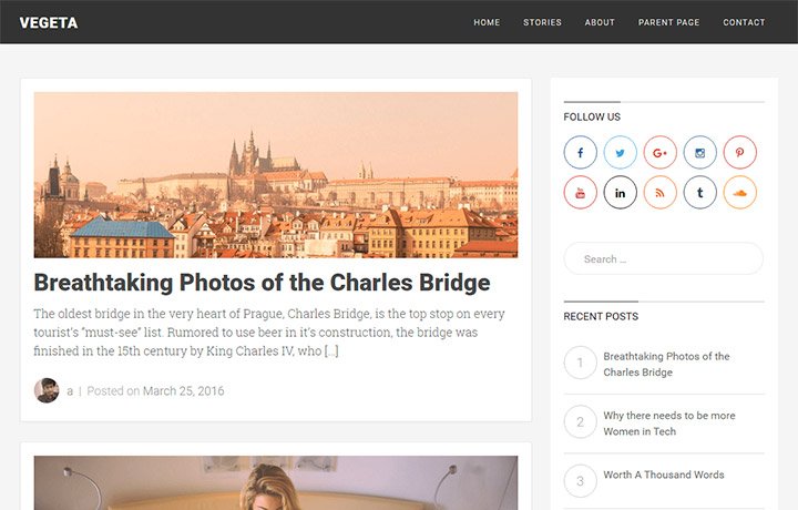 Free WordPress Themes 2016 - Vegeta