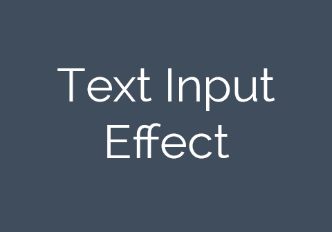 CSS Text Input Effect