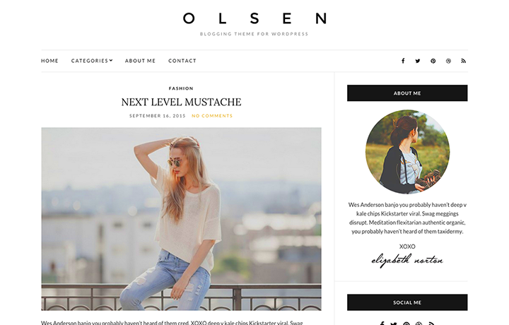 Free WordPress Themes 2016 - Olsen