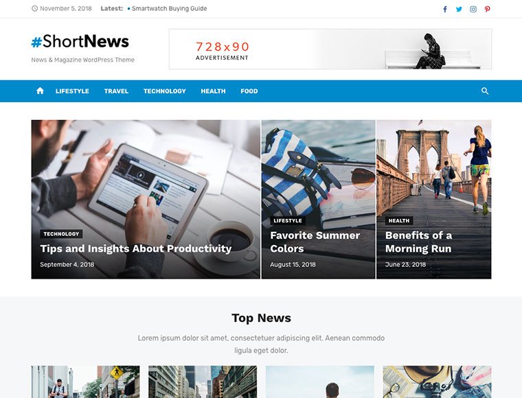 Premium WordPress Themes